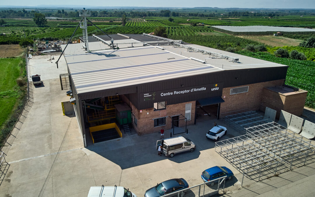 PROYECTO DE I+D DE LA EMPRESA VIVERS VILADEGUT